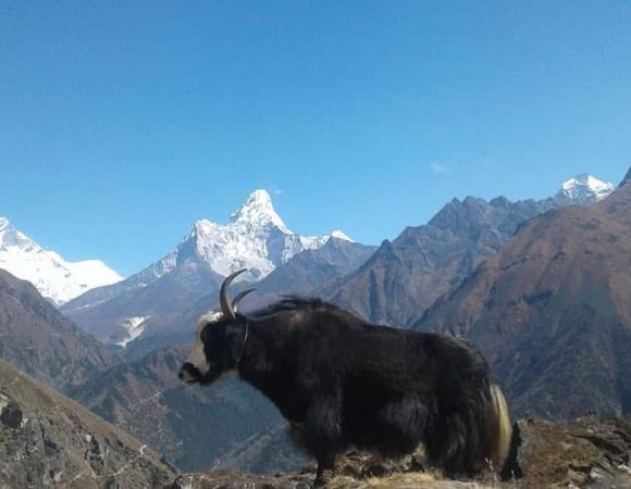 Everest Three Passes Trek