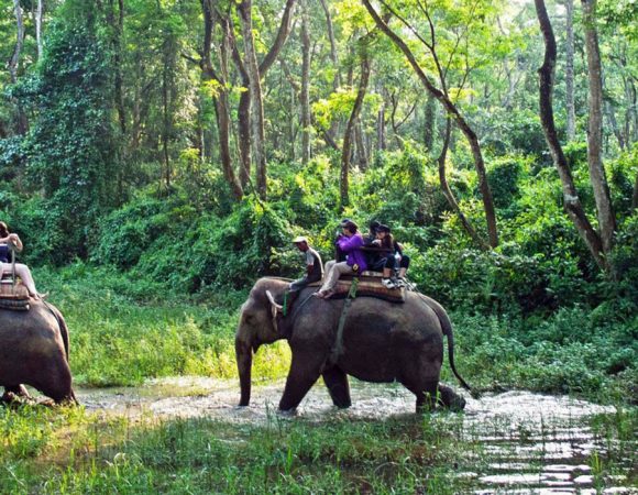 Bardia National Park Safari